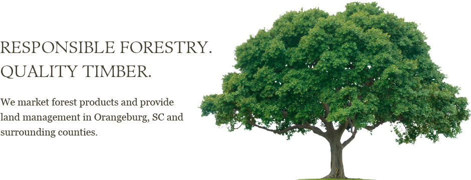 Responsible Forestry, Quality Timber